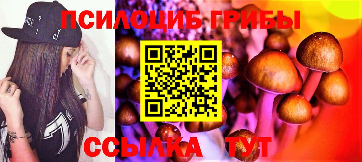 Псилоцибиновые грибы мухоморы Лесозаводск
